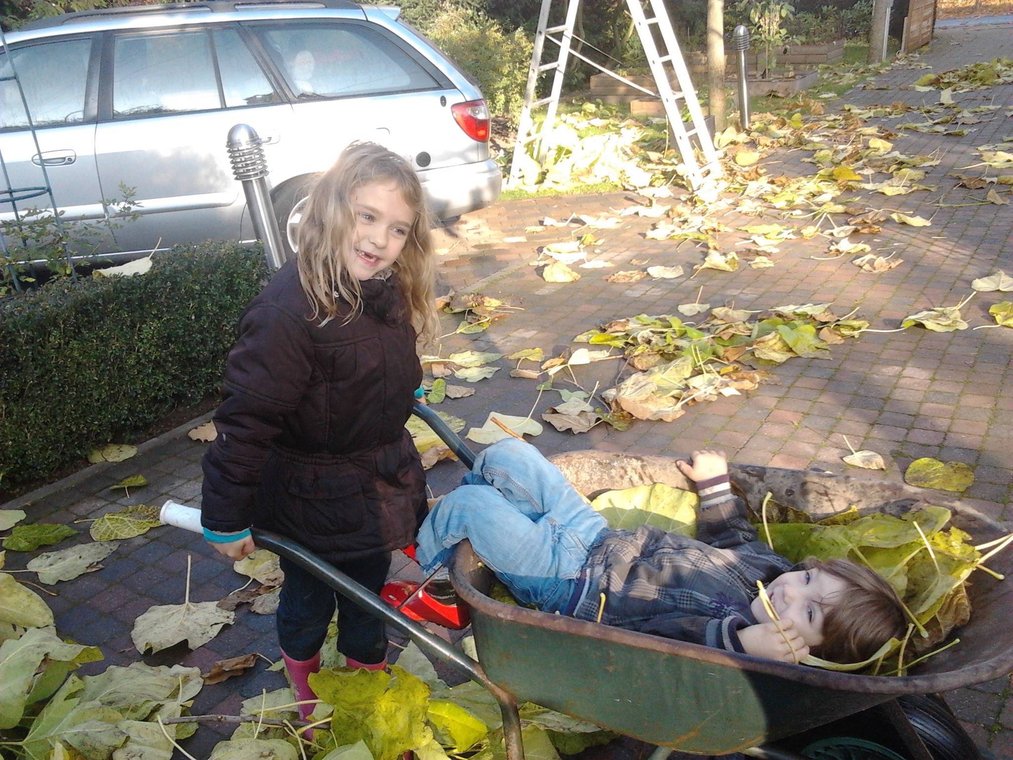 De kids helpen papa in de tuin